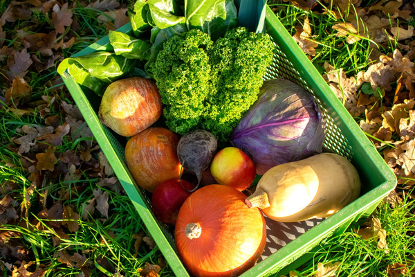 Wenn neue Gentechnik nicht gekennzeichnet wird, steigt das Risiko unbeabsichtigter Einträge in gentechnikfreie Anbausysteme.