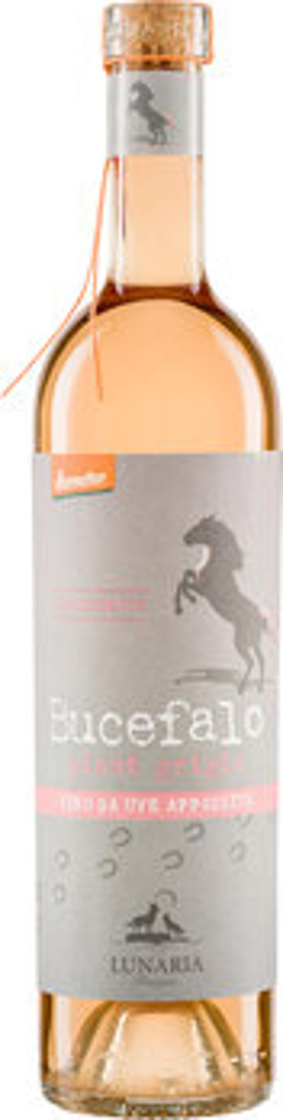 Produktfoto zu BUCEFALO Pinot Grigio
