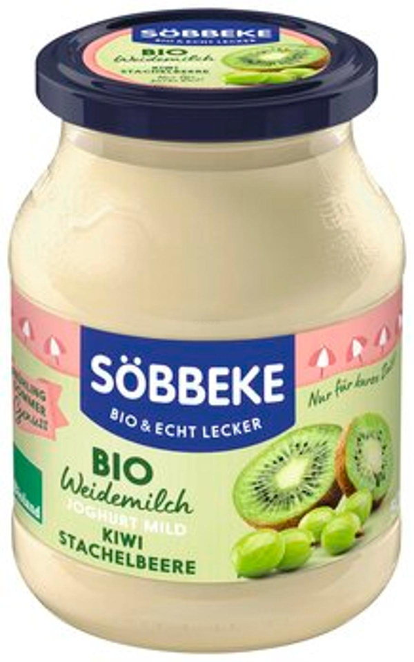 Produktfoto zu Joghurt Kiwi-Stachelbeere, 500g