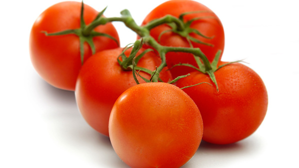 KI generiert: Fünf rote Tomaten an einem Zweig vor einem weißen Hintergrund.