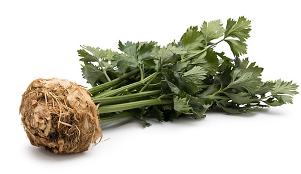 Produktfoto zu Knollensellerie Stück