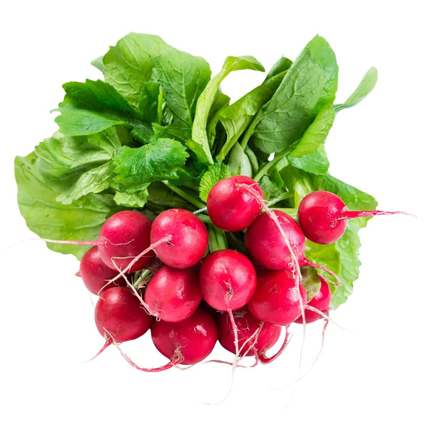Produktfoto zu Radieschen