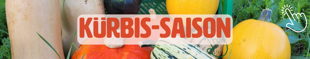 KI generiert: Kürbisse im Hintergrund, Text: "KÜRBIS-SAISON".