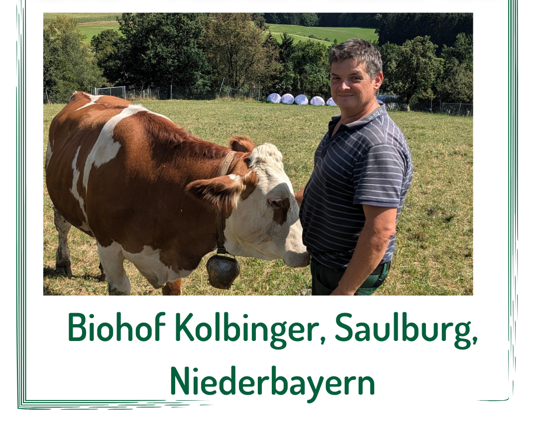 KI generiert: Das Bild zeigt eine Vielfalt an frischem Obst und Gemüse, darunter Karotten, Radicchio, Orangen, Granatäpfel, Kürbis und Grünkohl. Die bunten und frischen Lebensmittel sind in einem Korb arrangiert.