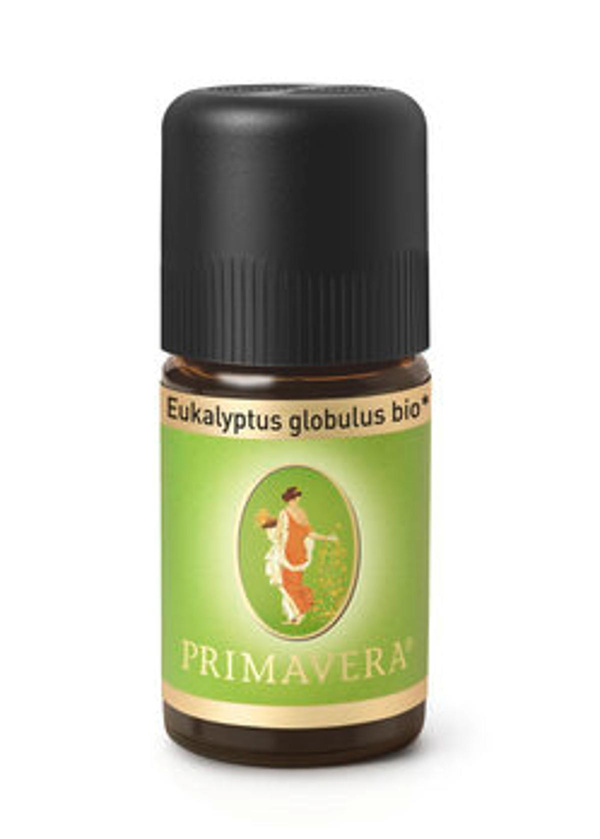 Produktfoto zu Ätherisches Öl Eukalyptus globulus
