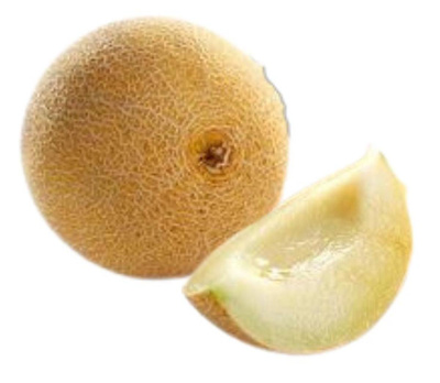 Produktfoto zu Melone Galia