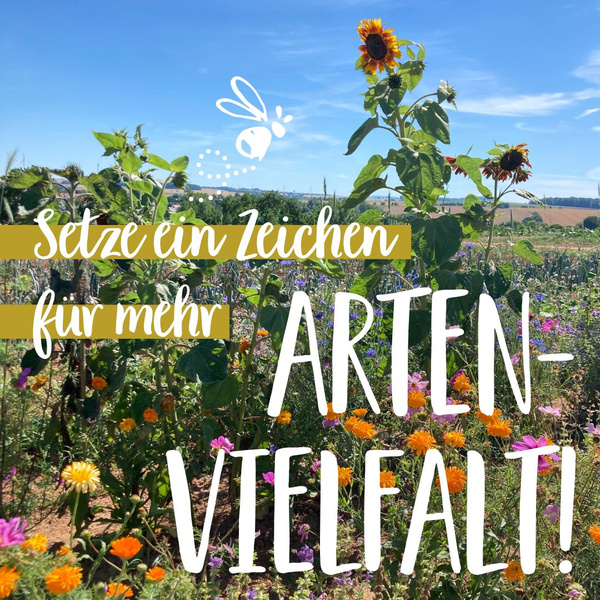 KI generiert: Ein blühendes Feld mit Text: "Setze ein Zeichen für mehr Artenvielfalt!"
