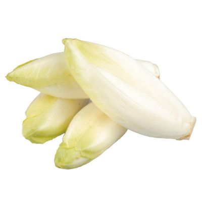 Produktfoto zu Chicorée
