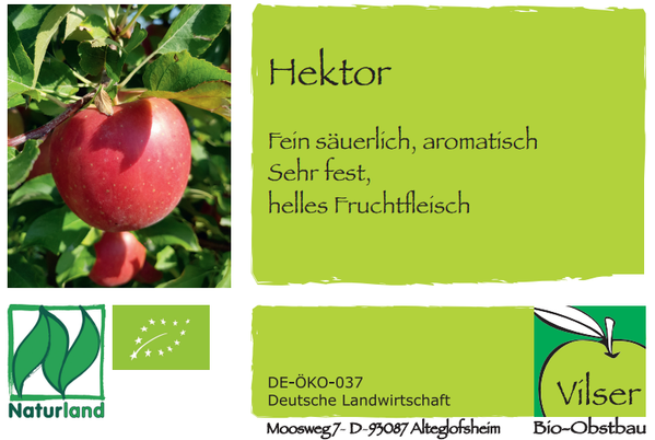 KI generiert: Ein roter Apfel am Baum, Text beschreibt Apfelsorte "Hektor" mit Eigenschaften.