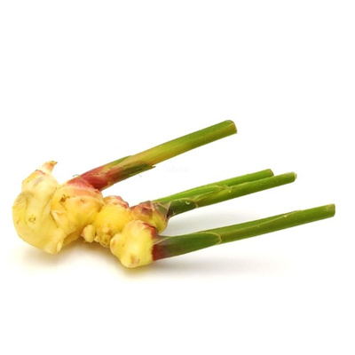 Produktfoto zu Ingwer frisch