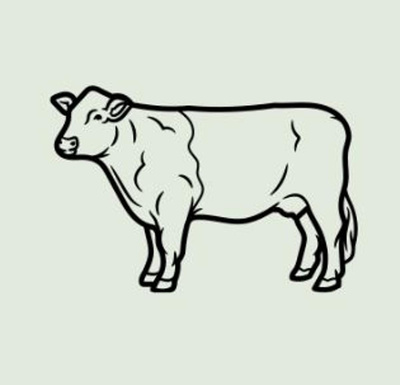 Produktfoto zu Weiderind-Mischpaket, ca. 2,5kg