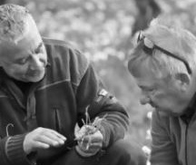 KI generiert: Zwei Männer betrachten gemeinsam eine Pflanze im Freien.