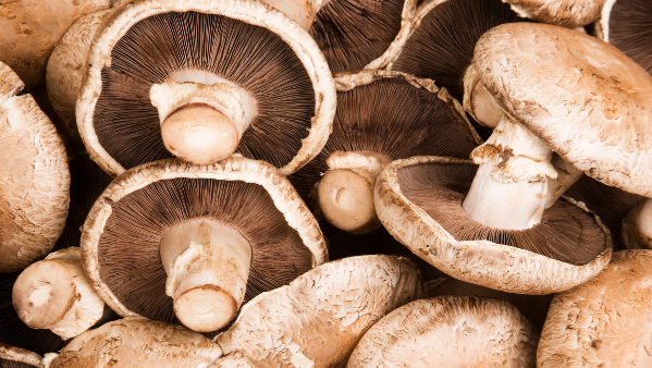 KI generiert: Nahaufnahme von frischen braunen Champignons.