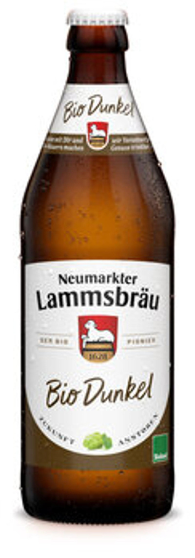 Produktfoto zu Dunkelbier 0,5l