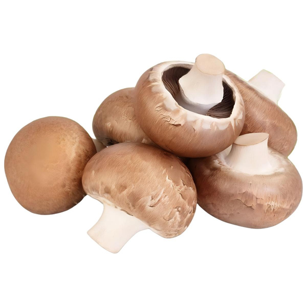 Produktfoto zu Champignons