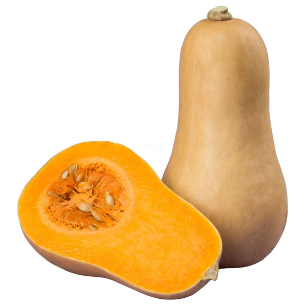 Produktfoto zu Kürbis Butternut