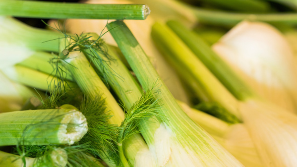 KI generiert: Nahaufnahme von frischem Fenchel mit grünen Stängeln und blättrigem Laub.