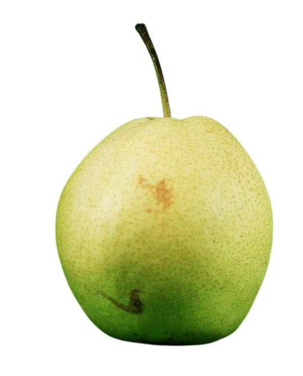 Produktfoto zu Nashi