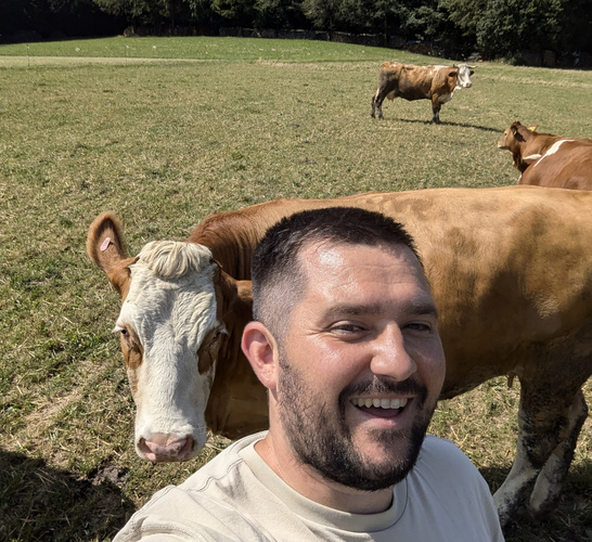 KI generiert: Eine Person macht ein Selfie mit Kühen auf einer grünen Wiese.