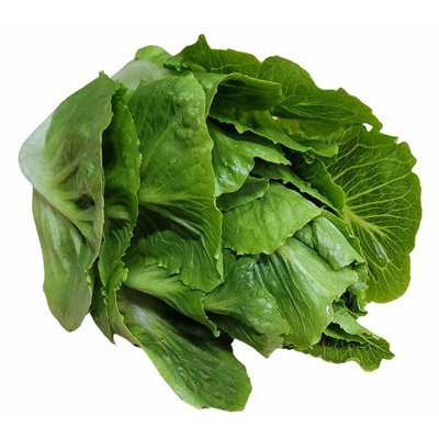 Produktfoto zu Salat Sweet Crisp