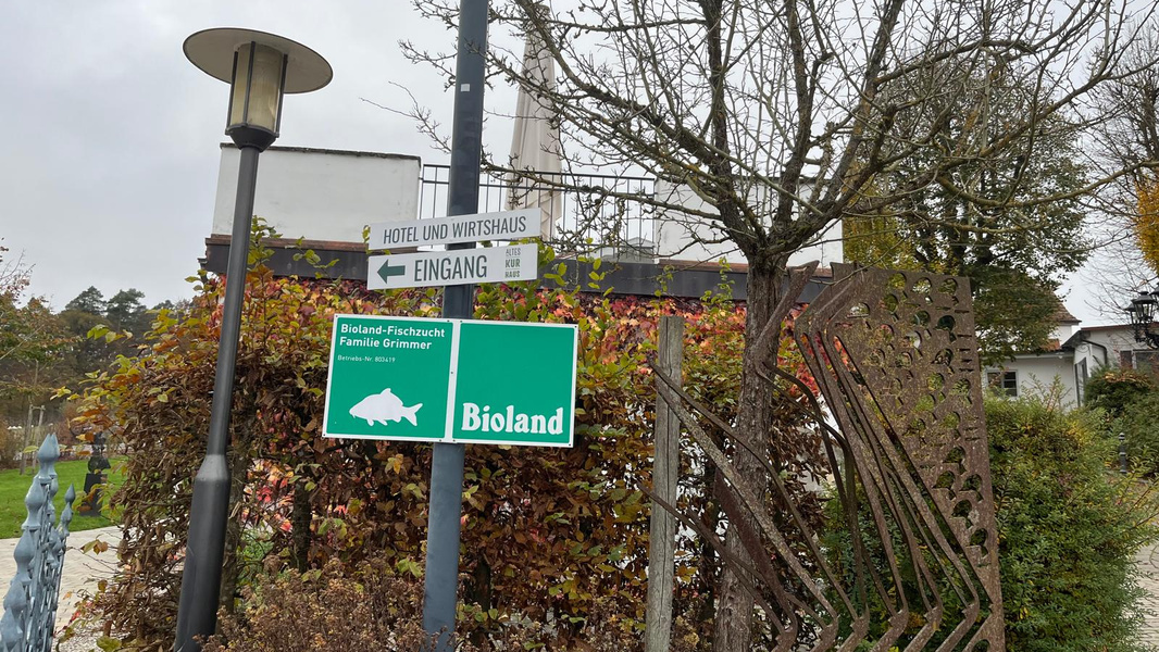 KI generiert: Das Bild zeigt mehrere Schilder, darunter eines für ein Hotel und Wirtshaus und ein grünes Schild mit dem Logo von Bioland für eine Fischzucht. Im Hintergrund ist ein Baum ohne Blätter und eine Laterne zu sehen.