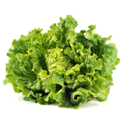 Produktfoto zu Batavia grün