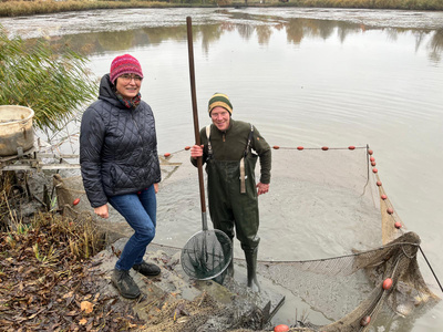 KI generiert: Das Bild zeigt zwei Personen an einem Teichrand beim Fischfang. Eine Person steht im Wasser mit einem Kescher, während die andere Person am Ufer steht.