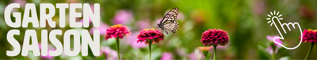 KI generiert: Ein Schmetterling auf rosa Blumen mit dem Text "GARTEN SAISON".