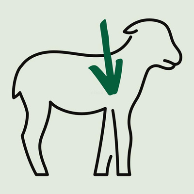 Produktfoto zu Lammkeulenscheiben zum Braten