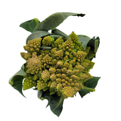 Produktfoto zu Romanesco