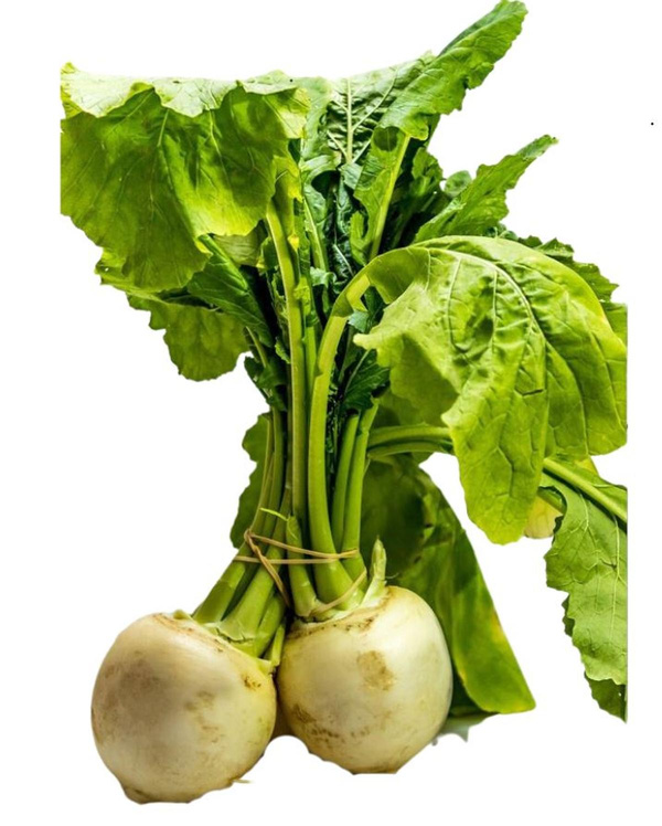 Produktfoto zu Mairübchen im Bund