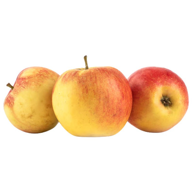 Produktfoto zu Apfel Jonagold