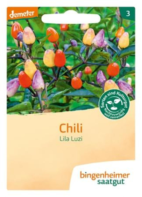 Produktfoto zu Saatgut Chili Lila Luzi
