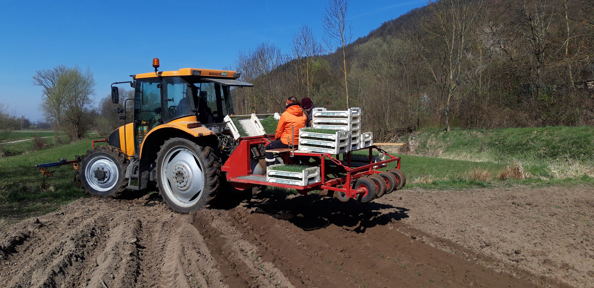 KI generiert: Traktor mit Anbaugerät pflügt ein Feld.