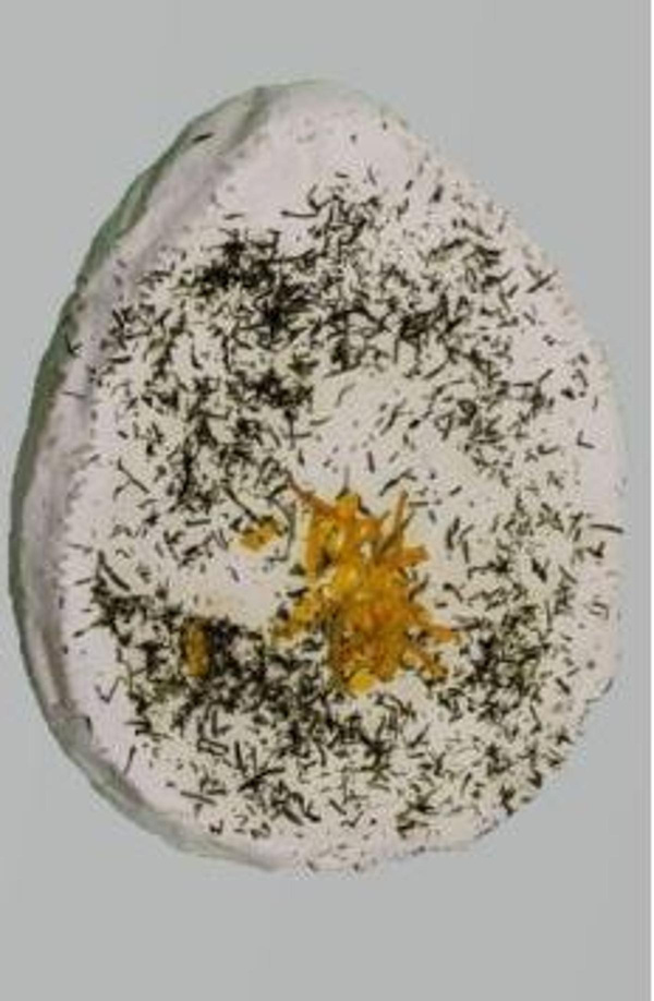 Produktfoto zu Oster-Camembert ca. 200g