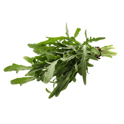 Produktfoto zu Rucola Bund